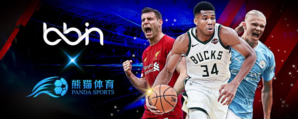 亮点不仅在